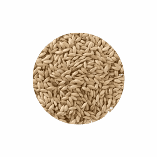 Alpiste 500g Romavi