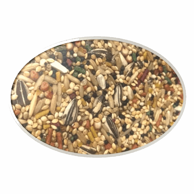 Alimento Para Calopsita 500g