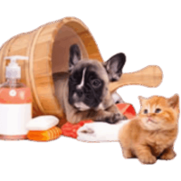 Cuidados-com-seu-pet